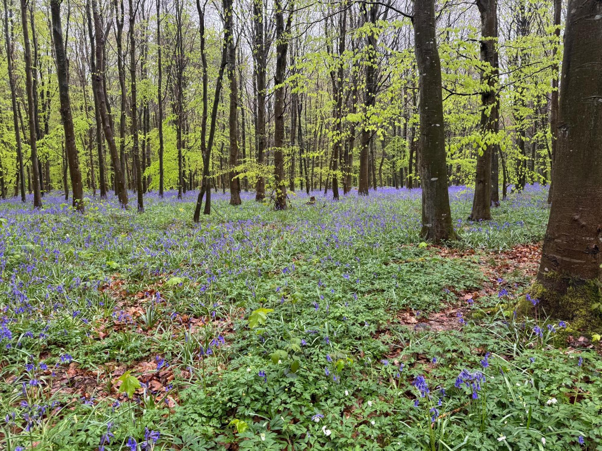 Camping L'Oree Des Caps Licques エクステリア 写真